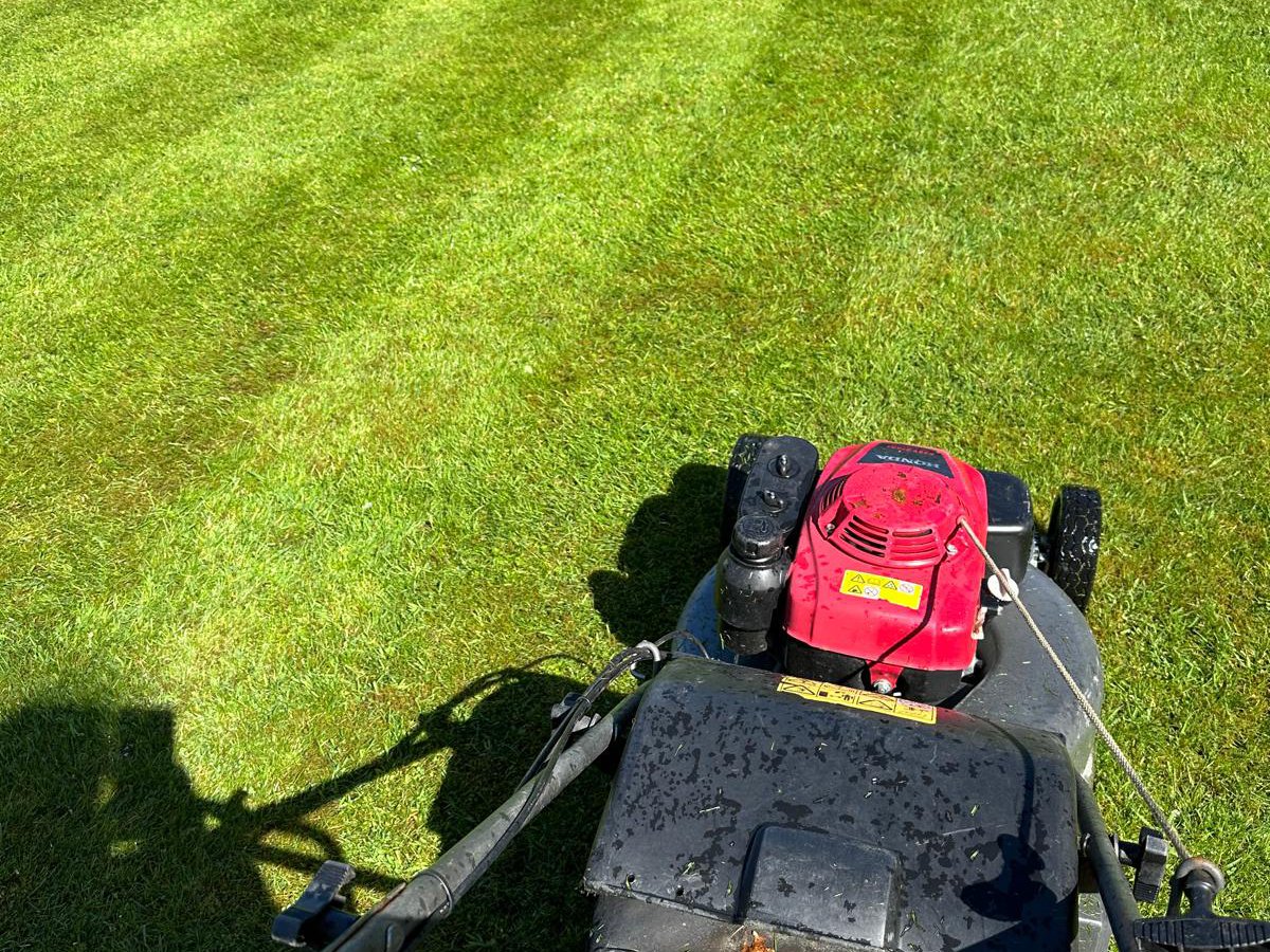 Grounds Maintenance